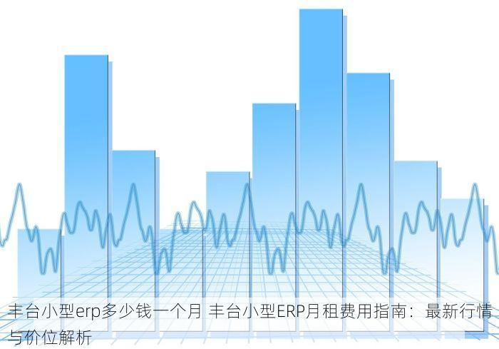 丰台小型erp多少钱一个月 丰台小型ERP月租费用指南：最新行情与价位解析