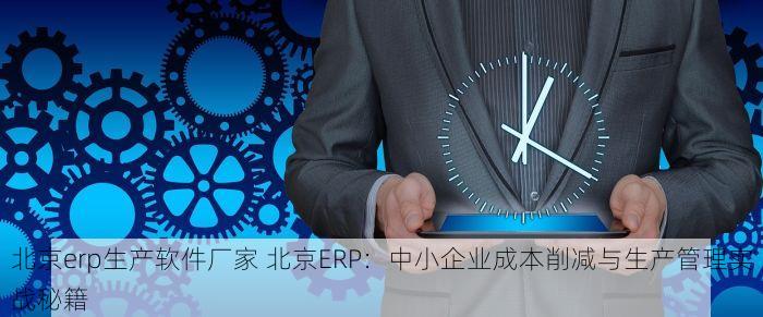 北京erp生产软件厂家 北京ERP：中小企业成本削减与生产管理实战秘籍