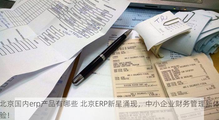 北京国内erp产品有哪些 北京ERP新星涌现，中小企业财务管理新体验！