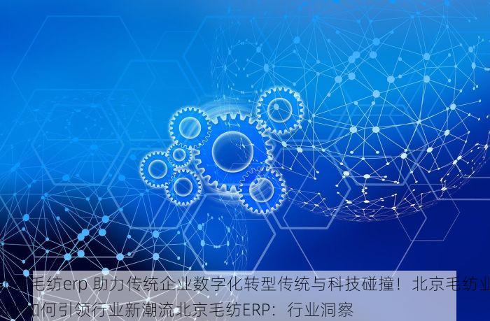 北京毛纺erp 助力传统企业数字化转型传统与科技碰撞！北京毛纺业ERP如何引领行业新潮流北京毛纺ERP：行业洞察
