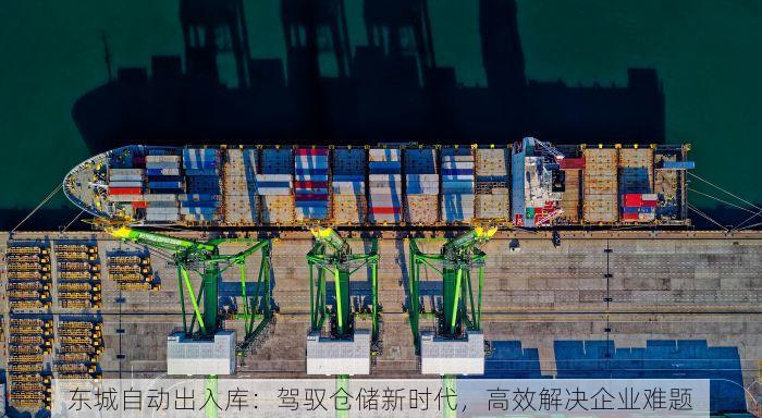 东城自动出入库：驾驭仓储新时代，高效解决企业难题