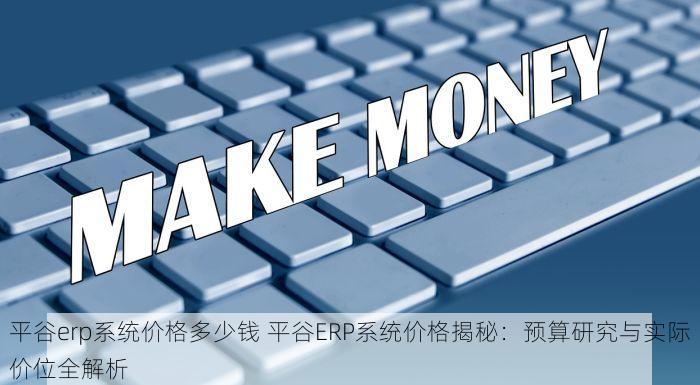 平谷erp系统价格多少钱 平谷ERP系统价格揭秘：预算研究与实际价位全解析