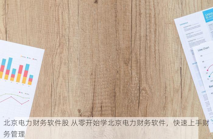 北京电力财务软件股 从零开始学北京电力财务软件，快速上手财务管理