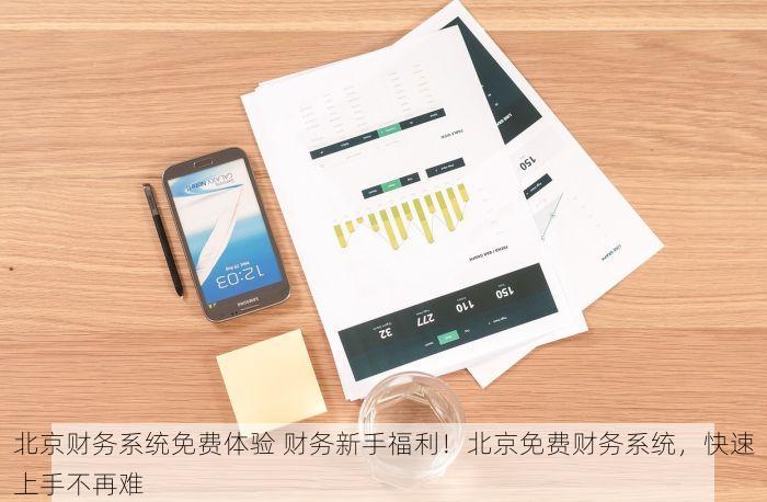 北京财务系统免费体验 财务新手福利！北京免费财务系统，快速上手不再难