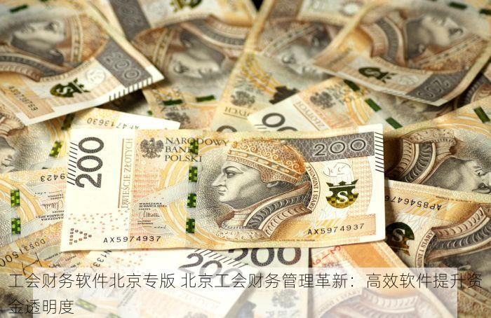 工会财务软件北京专版 北京工会财务管理革新：高效软件提升资金透明度