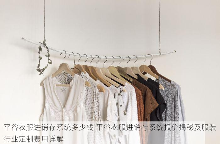 平谷衣服进销存系统多少钱 平谷衣服进销存系统报价揭秘及服装行业定制费用详解