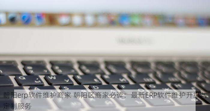 朝阳erp软件维护商家 朝阳区商家必读：最新ERP软件维护升级与定制服务