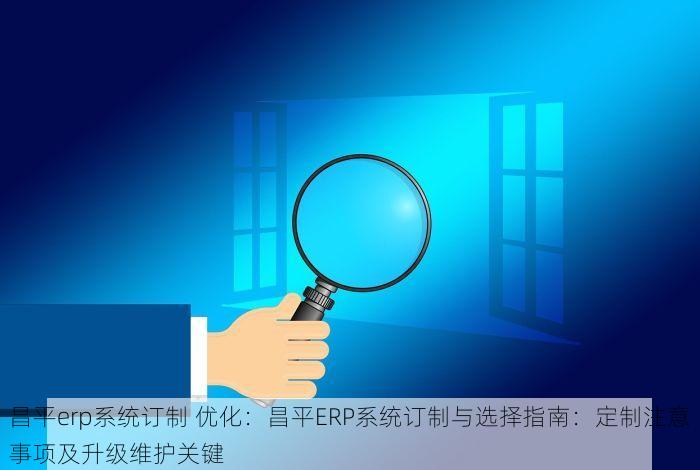 昌平erp系统订制 优化：昌平ERP系统订制与选择指南：定制注意事项及升级维护关键