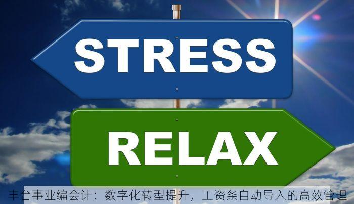 丰台事业编会计：数字化转型提升，工资条自动导入的高效管理