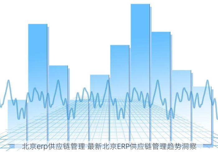 北京erp供应链管理 最新北京ERP供应链管理趋势洞察