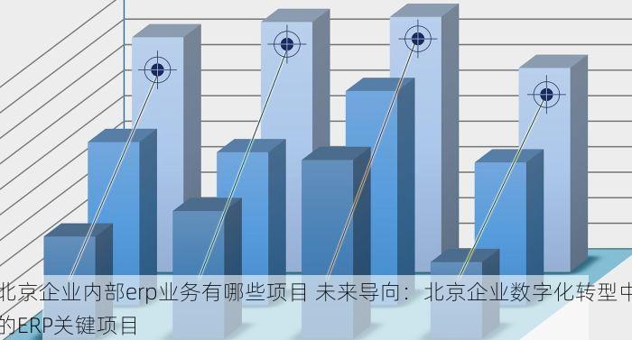 北京企业内部erp业务有哪些项目 未来导向：北京企业数字化转型中的ERP关键项目