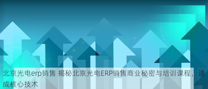 北京光电erp销售 揭秘北京光电ERP销售商业秘密与培训课程，速成核心技术
