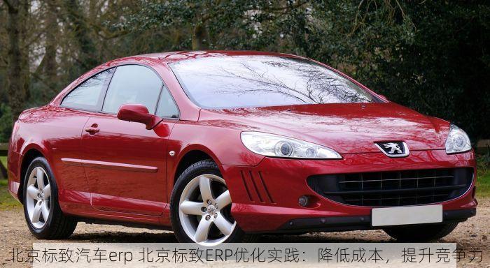 北京标致汽车erp 北京标致ERP优化实践：降低成本，提升竞争力
