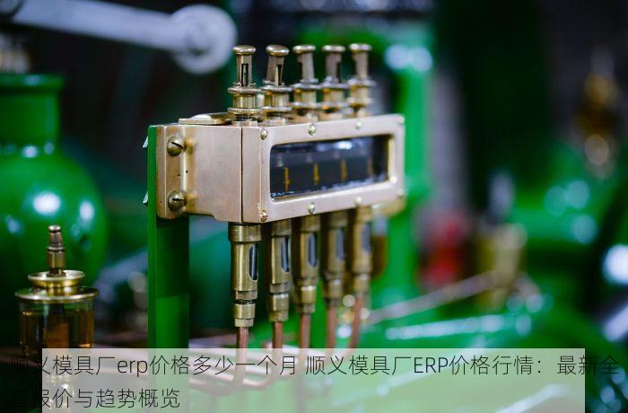 顺义模具厂erp价格多少一个月 顺义模具厂ERP价格行情：最新全套报价与趋势概览