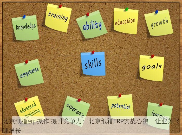 北京纸箱erp操作 提升竞争力：北京纸箱ERP实战心得，让业务飞速增长