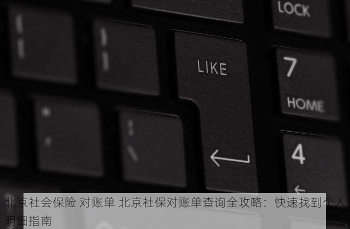 北京社会保险 对账单 北京社保对账单查询全攻略：快速找到个人明细指南