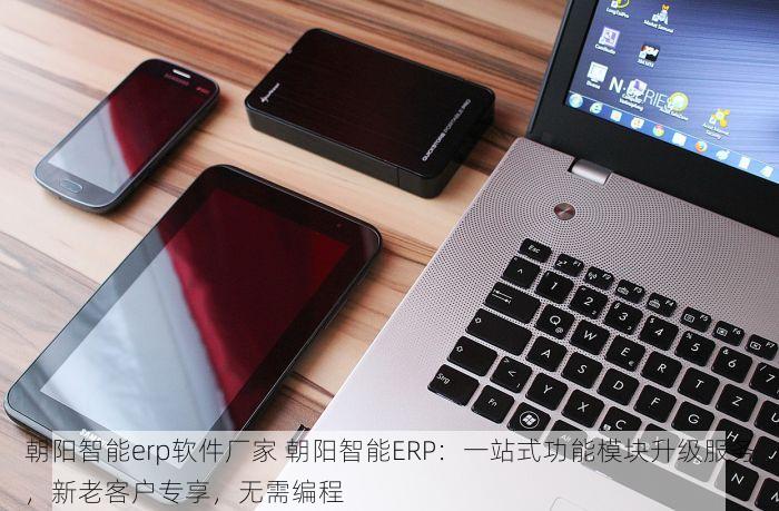 朝阳智能erp软件厂家 朝阳智能ERP：一站式功能模块升级服务，新老客户专享，无需编程