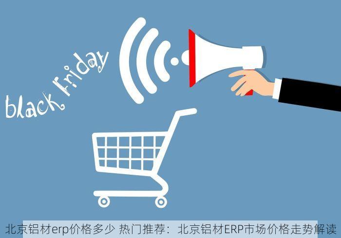北京铝材erp价格多少 热门推荐：北京铝材ERP市场价格走势解读
