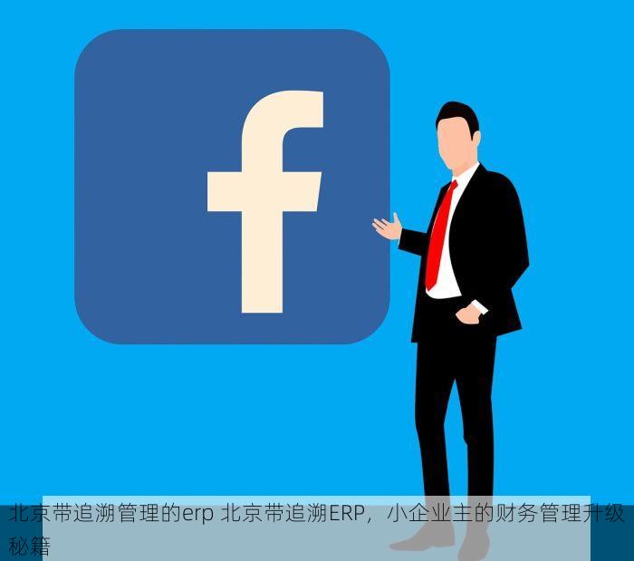 北京带追溯管理的erp 北京带追溯ERP，小企业主的财务管理升级秘籍