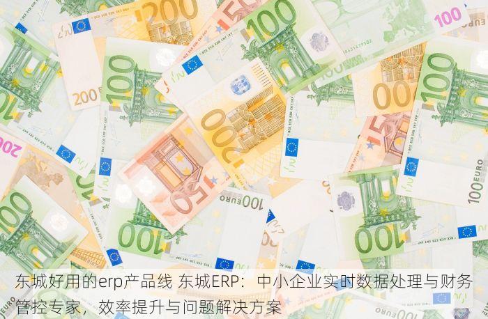 东城好用的erp产品线 东城ERP：中小企业实时数据处理与财务管控专家，效率提升与问题解决方案