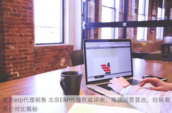 北京erp代理销售 北京ERP代理权威评测：高效运营首选，经销商报价对比揭秘