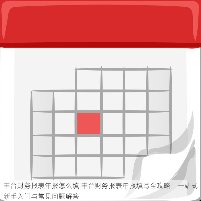 丰台财务报表年报怎么填 丰台财务报表年报填写全攻略：一站式新手入门与常见问题解答