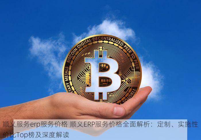 顺义服务erp服务价格 顺义ERP服务价格全面解析：定制、实施性价比Top榜及深度解读
