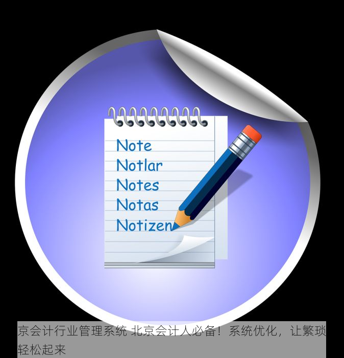 北京会计行业管理系统 北京会计人必备！系统优化，让繁琐工作轻松起来