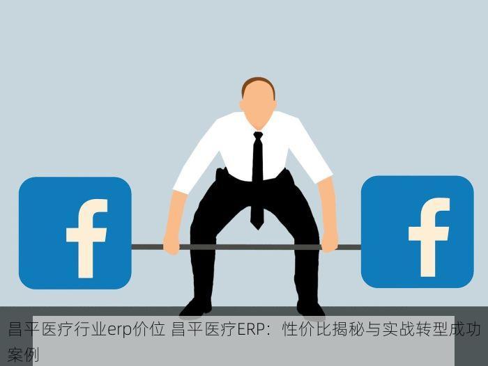 昌平医疗行业erp价位 昌平医疗ERP：性价比揭秘与实战转型成功案例