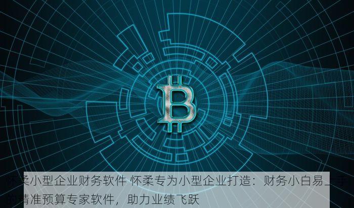 怀柔小型企业财务软件 怀柔专为小型企业打造：财务小白易上手的精准预算专家软件，助力业绩飞跃