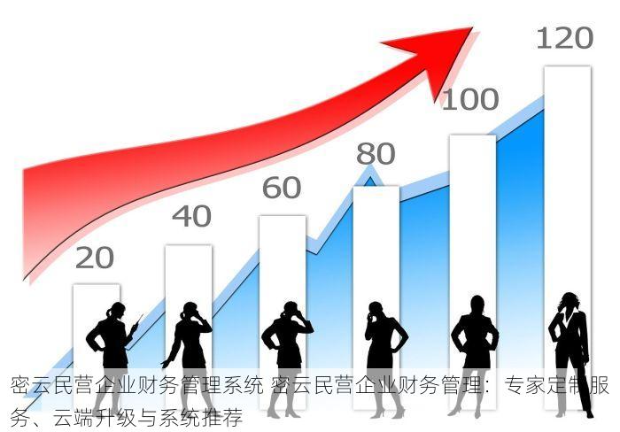 密云民营企业财务管理系统 密云民营企业财务管理：专家定制服务、云端升级与系统推荐