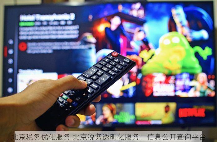 北京税务优化服务 北京税务透明化服务：信息公开查询平台