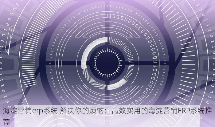 海淀营销erp系统 解决你的烦恼：高效实用的海淀营销ERP系统推荐