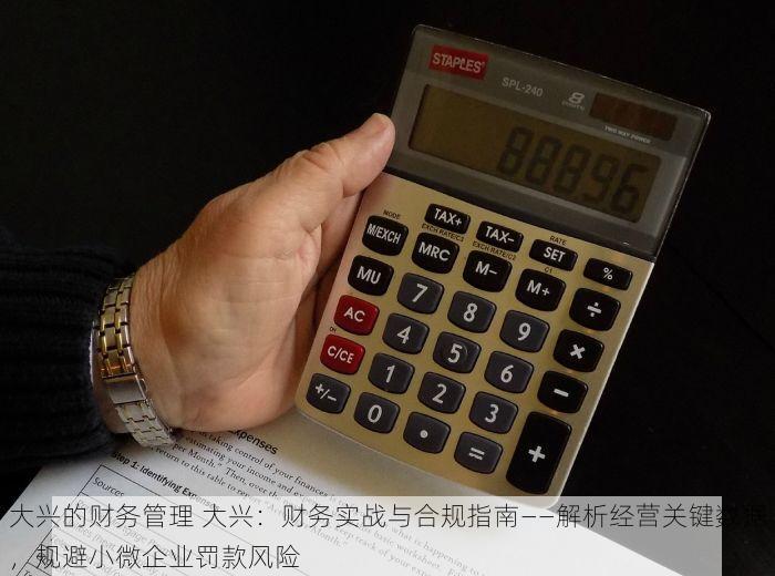 大兴的财务管理 大兴：财务实战与合规指南——解析经营关键数据，规避小微企业罚款风险