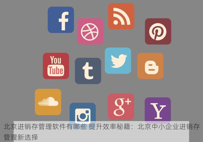 东城发票系统维护全流程解析与最新指南，掌握这些技巧事半功倍