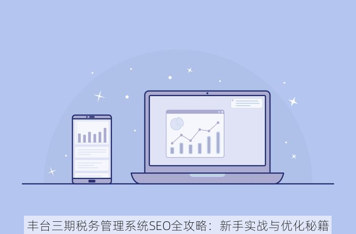 丰台三期税务管理系统SEO全攻略：新手实战与优化秘籍