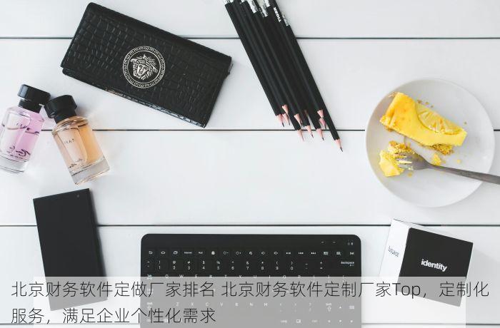 北京财务软件定做厂家排名 北京财务软件定制厂家Top，定制化服务，满足企业个性化需求