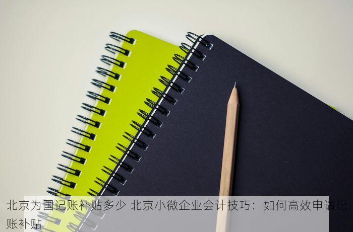 北京发票北京验票系统查询 揭秘北京发票与验票系统查询：新手入门全攻略