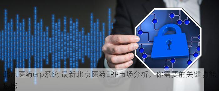 北京医药erp系统 最新北京医药ERP市场分析，你需要的关键功能揭秘