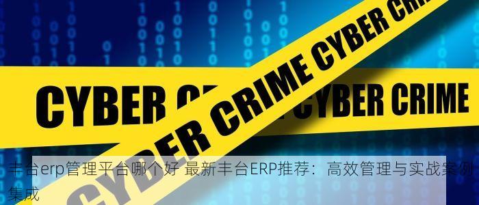 丰台erp管理平台哪个好 最新丰台ERP推荐：高效管理与实战案例集成