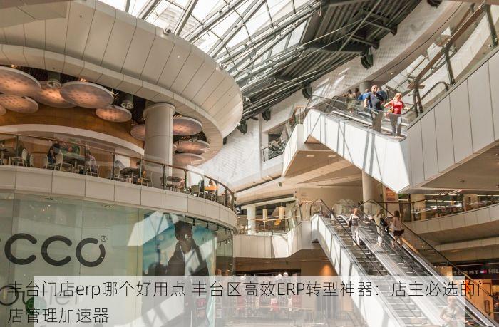 丰台门店erp哪个好用点 丰台区高效ERP转型神器：店主必选的门店管理加速器