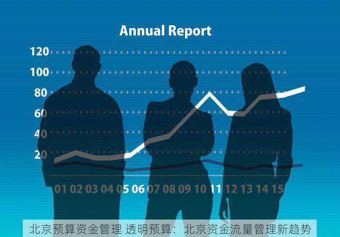 北京预算资金管理 透明预算：北京资金流量管理新趋势