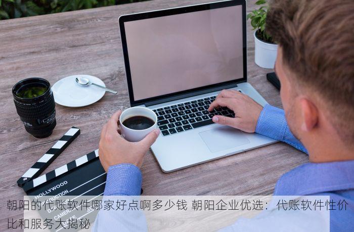 朝阳的代账软件哪家好点啊多少钱 朝阳企业优选：代账软件性价比和服务大揭秘