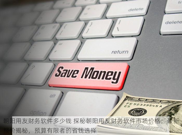 朝阳用友财务软件多少钱 探秘朝阳用友财务软件市场价格：最新报价揭秘，预算有限者的省钱选择