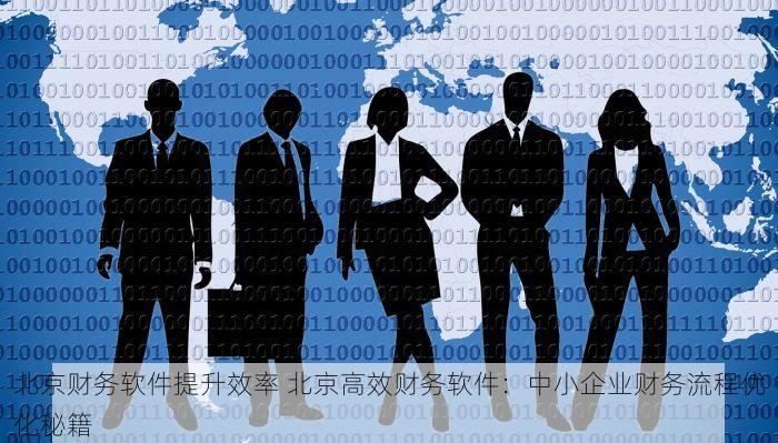 北京财务软件提升效率 北京高效财务软件：中小企业财务流程优化秘籍