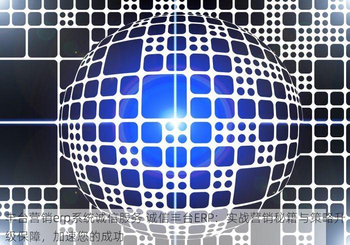 丰台营销erp系统诚信服务 诚信丰台ERP：实战营销秘籍与策略升级保障，加速您的成功