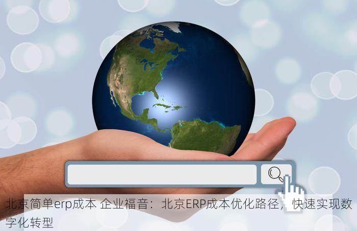 北京简单erp成本 企业福音：北京ERP成本优化路径，快速实现数字化转型