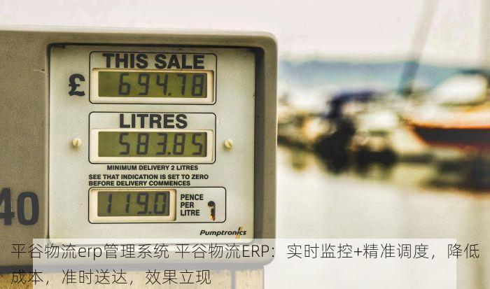 北京的发票北京系统里没有是否可以手工填写
