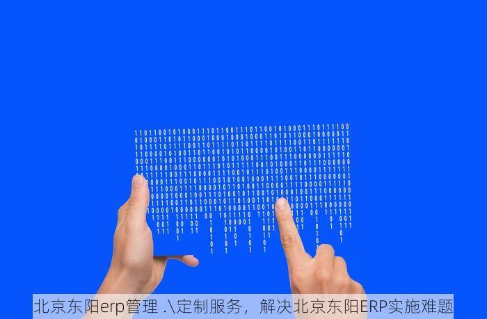 北京东阳erp管理 .\定制服务，解决北京东阳ERP实施难题