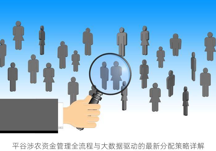 平谷涉农资金管理全流程与大数据驱动的最新分配策略详解